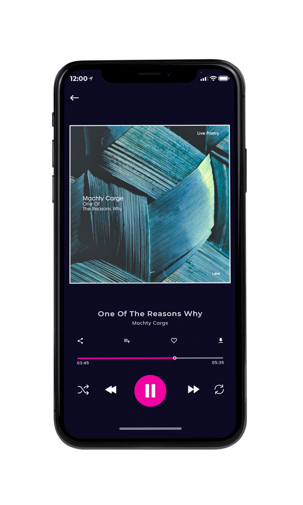 Tablet view of Premade Traditional Jazz & Blues Album Cover - Blue Bayoux #3331 | AlbumArtZone*