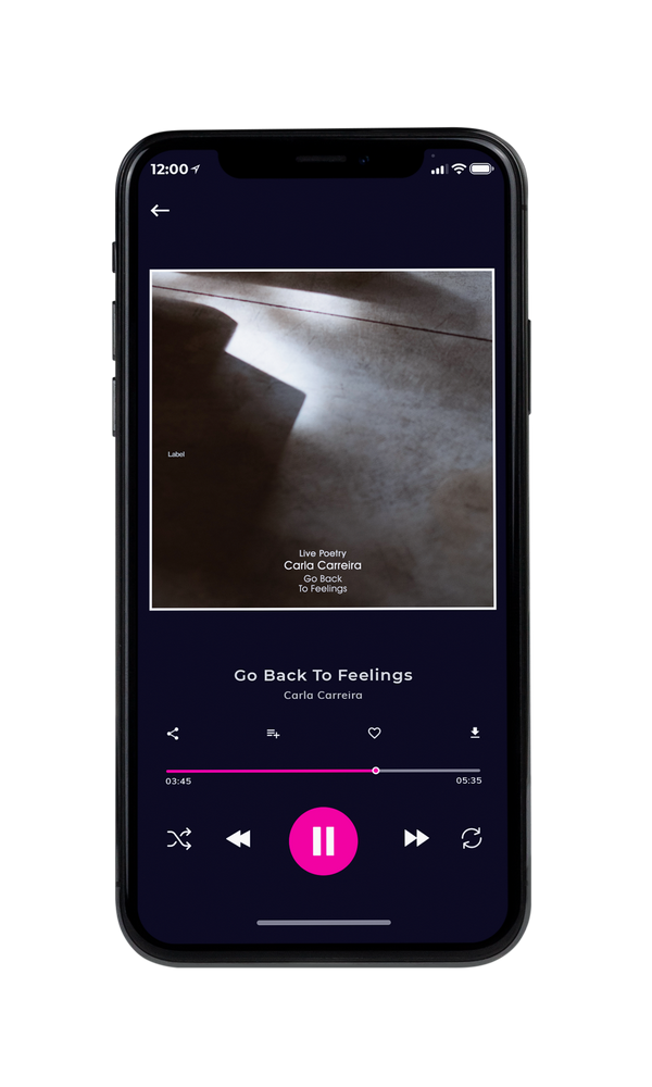 Tablet view of Premade Contemporary Music Book Cover - Merlin #3338 | AlbumArtZone*
