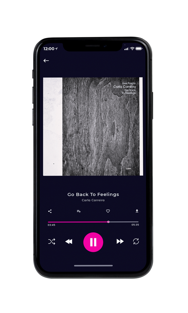 Tablet view of Premade Contemporary Music Album Cover - Dove Gray #3340 | AlbumArtZone*