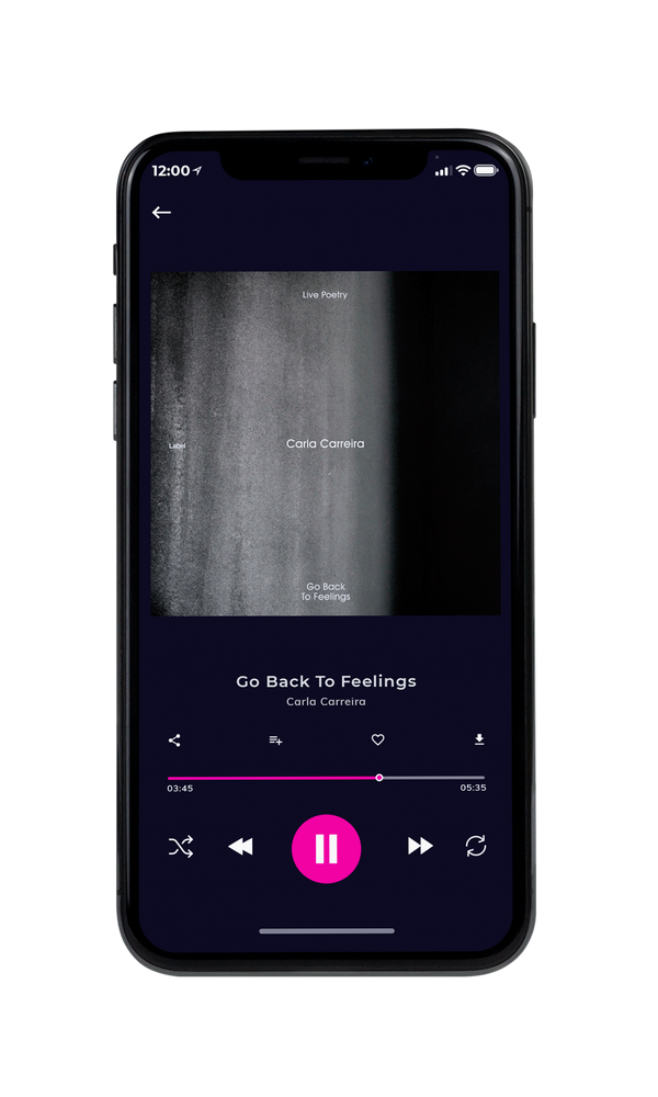 Tablet view of Premade Contemporary Music Album Cover - Storm Dust #3342 | AlbumArtZone*