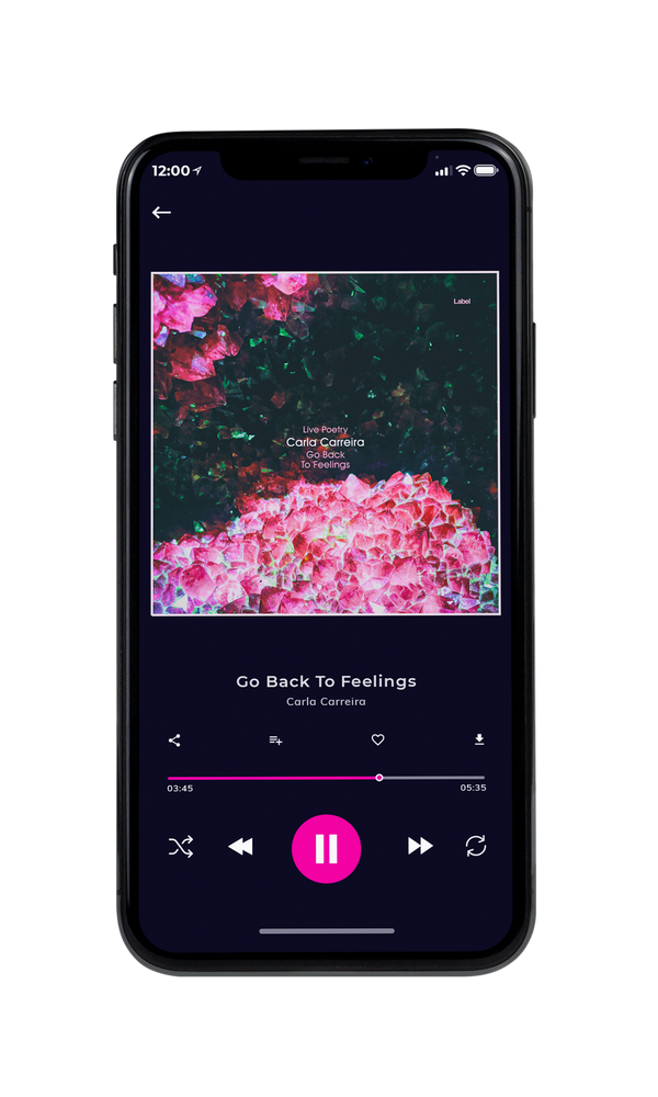 Tablet view of Premade Contemporary Music Album Cover - Can Can #3343 | AlbumArtZone*