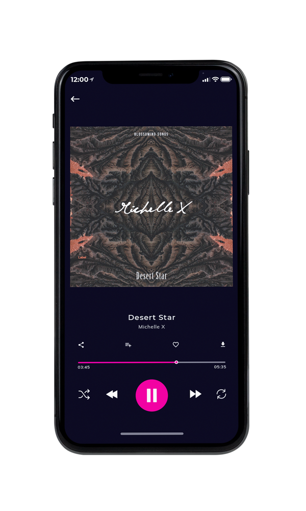Tablet view of Premade Pop Album Cover - Masala #3437 | AlbumArtZone*