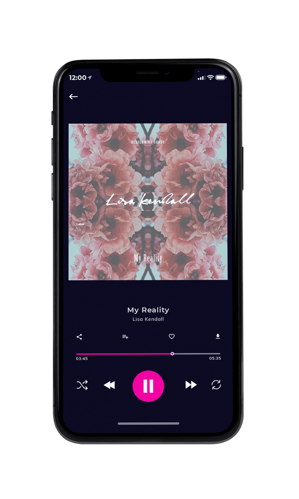 Tablet view of Premade Pop Album Cover - Del Rio #3438 | AlbumArtZone*
