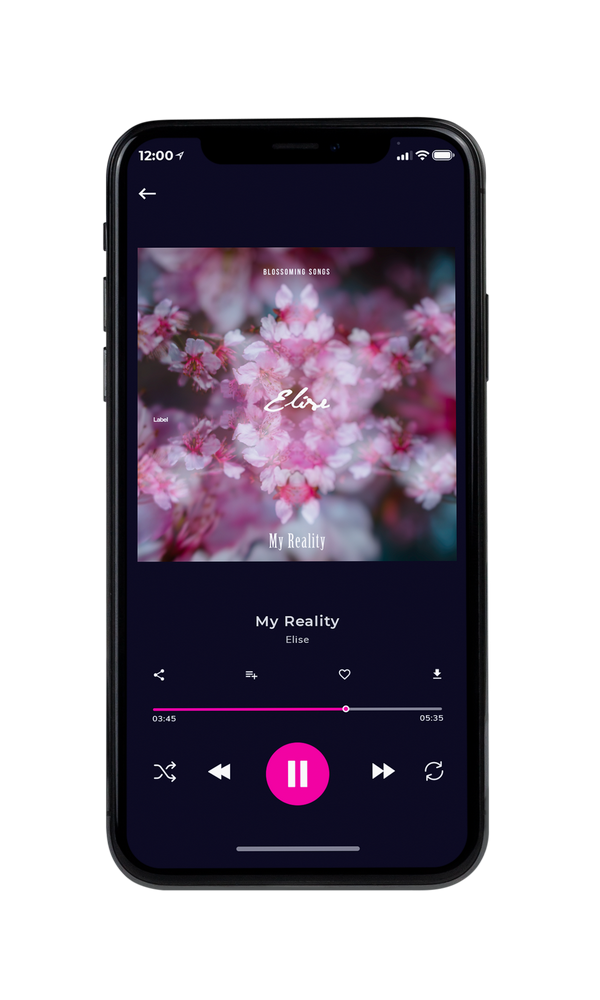 Tablet view of Premade Pop Album Cover - Falcon #3439 | AlbumArtZone*