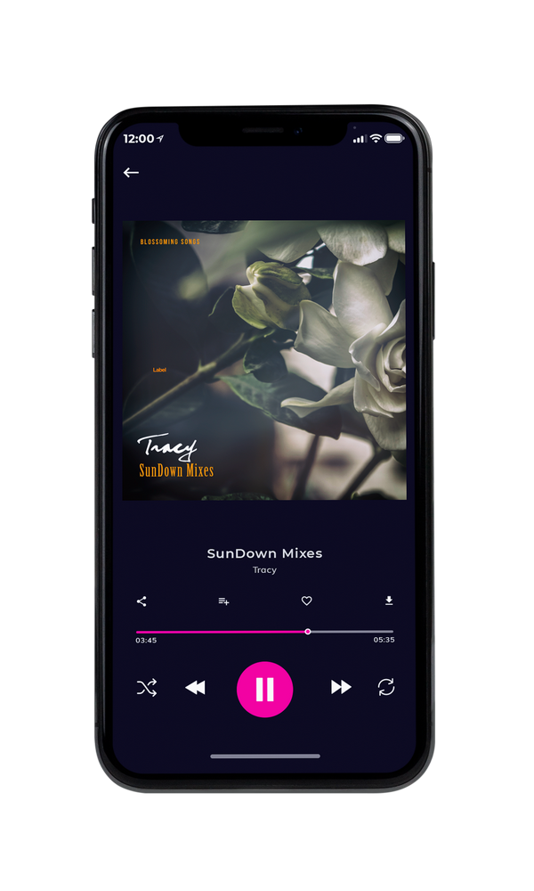Tablet view of Premade Pop Album Cover - Cape Cod #3442 | AlbumArtZone*