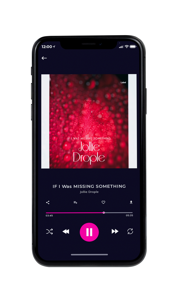 Tablet view of Premade Pop Album Cover - Burnt Umber #3484 | AlbumArtZone*