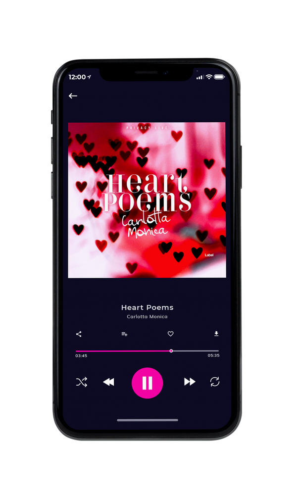 Tablet view of Premade Pop Album Cover - Cardinal #3516 | AlbumArtZone*