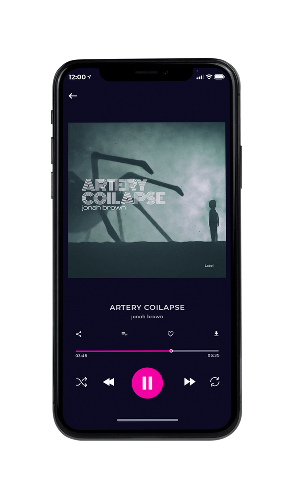 Tablet view of Premade Dance & House Album Cover - Limed Spruce #3624 | AlbumArtZone*