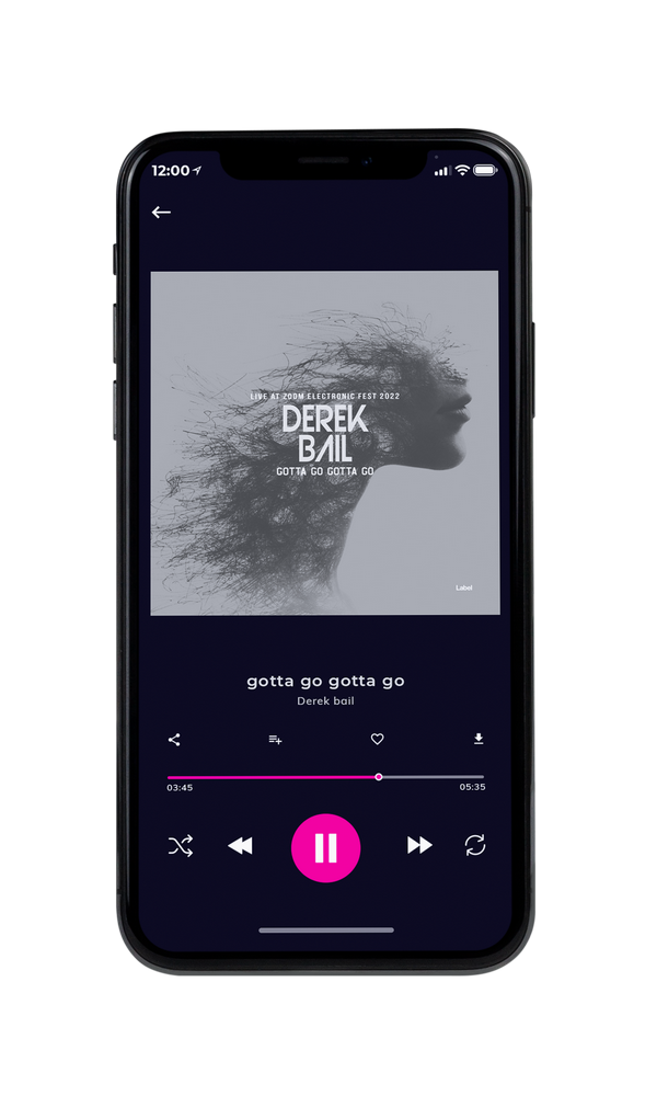 Tablet view of Premade Rock,Punk & Alternative Album Cover - Silver Chalice #3705 | AlbumArtZone*