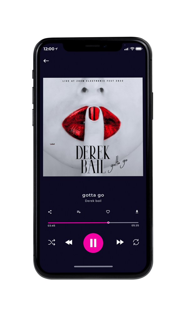 Tablet view of Premade Pop Album Cover - Silver #3707 | AlbumArtZone*