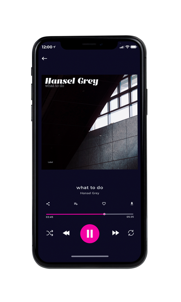 Tablet view of Premade Pop Album Cover - French Gray #3746 | AlbumArtZone*