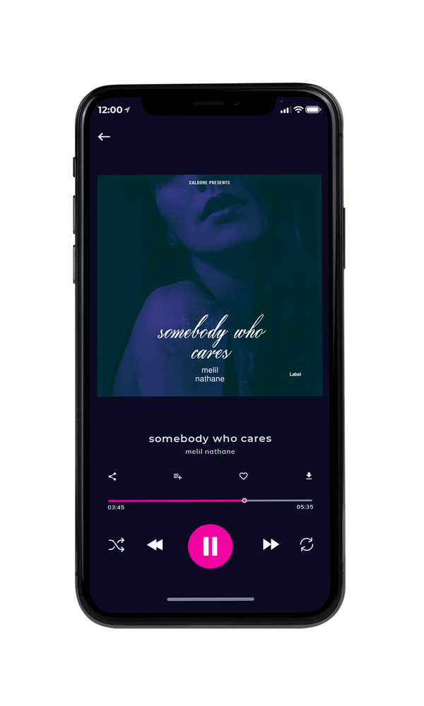Tablet view of Premade Pop Album Cover - Elephant #3781 | AlbumArtZone*