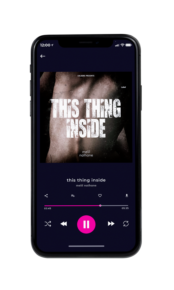 Tablet view of Premade EDM, House & Dub Album Cover - Silk #3786 | AlbumArtZone*