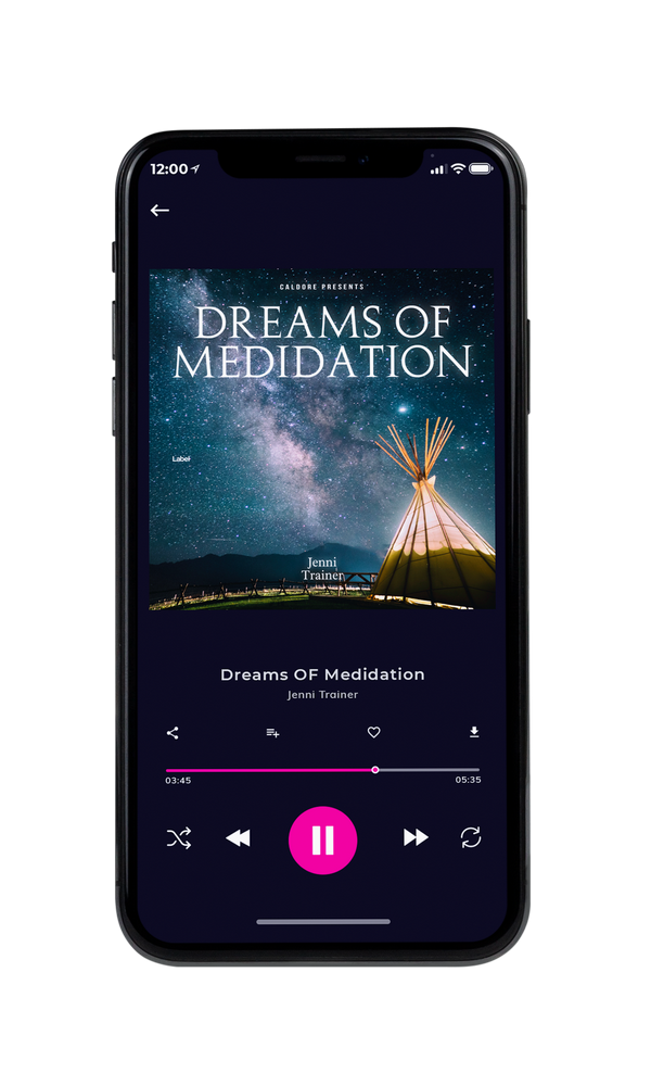 Tablet view of Premade Classical & Romantic Music Album Cover - Pickled Bluewood #3811 | AlbumArtZone*