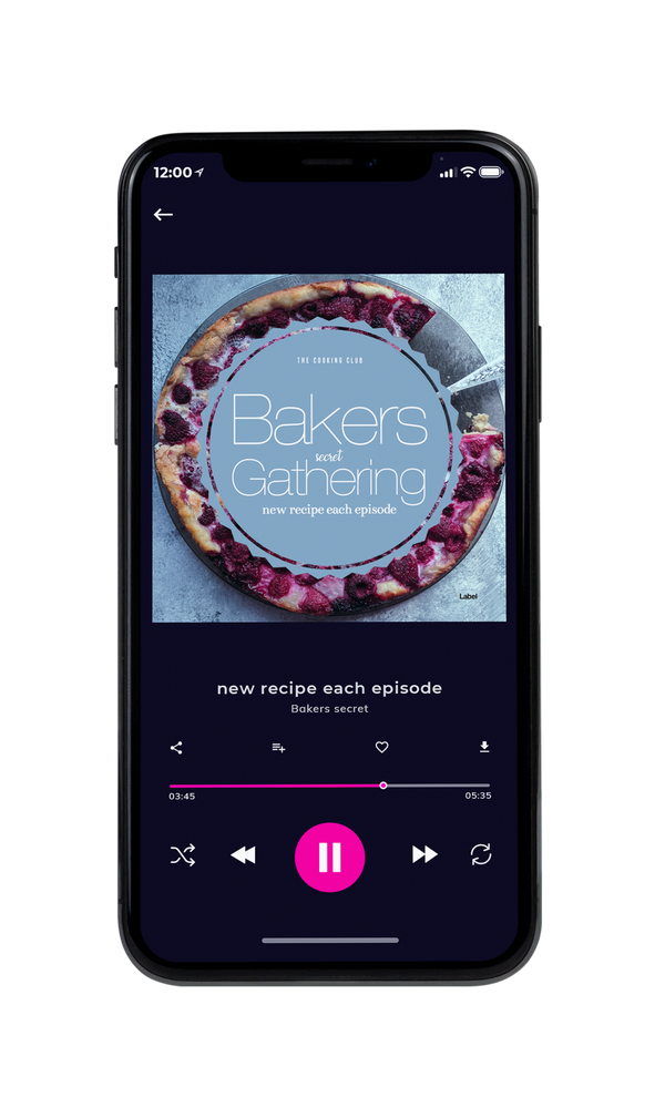 Tablet view of Premade Podcast Album Cover - Gull Gray #3850 | AlbumArtZone*