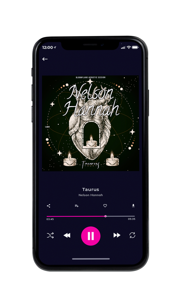 Tablet view of Premade Valentine's Day Album Cover - Pearl Bush #3890 | AlbumArtZone*