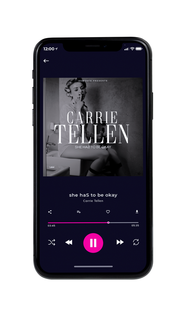 Tablet view of Premade Pop Album Cover - Tundora #4015 | AlbumArtZone*