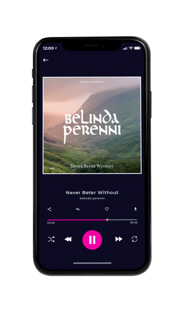 Tablet view of Premade Indie & Folk Music Album Cover - Bandicoot #4039 | AlbumArtZone*
