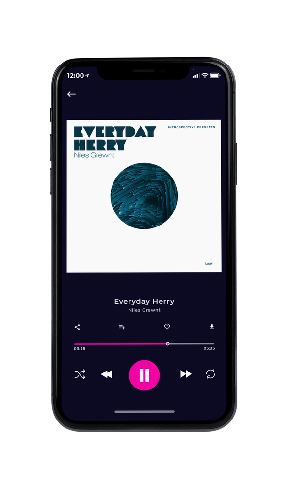 Tablet view of Premade Pop Album Cover - Blue Dianne #4059 | AlbumArtZone*