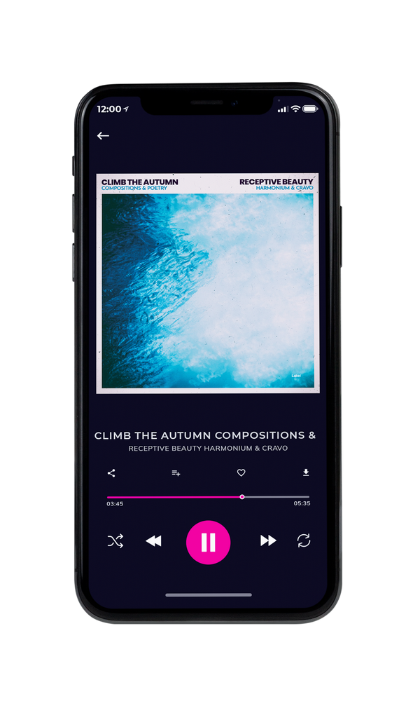 Tablet view of Premade Pop Album Cover - Elm #4137 | AlbumArtZone*