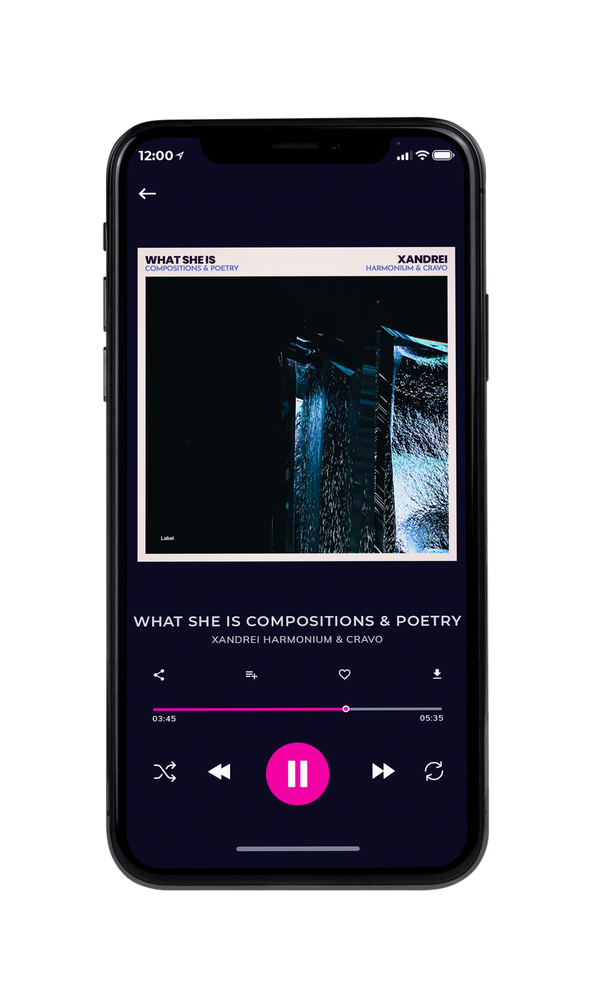 Tablet view of Premade Pop Album Cover - Westar #4141 | AlbumArtZone*