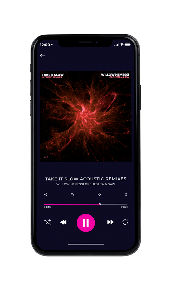 Tablet view of Premade Rock,Punk & Alternative Album Cover - Graphite #4175 | AlbumArtZone*