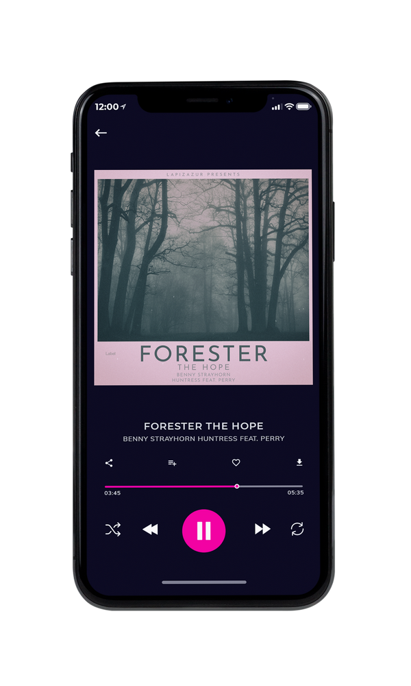 Tablet view of Premade Pop Album Cover - Nandor #4195 | AlbumArtZone*