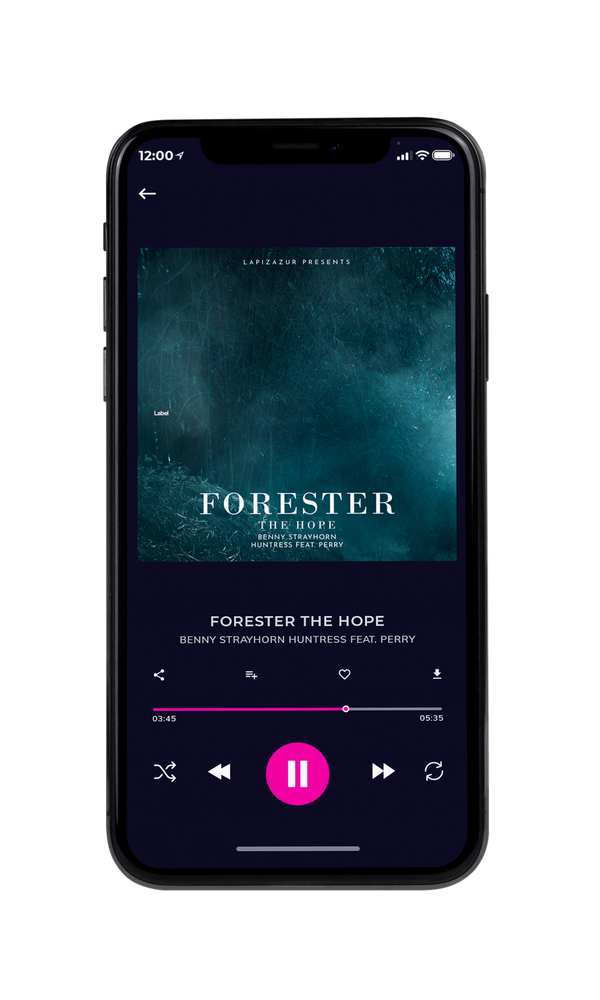 Tablet view of Premade Contemporary Music Album Cover - Blue Dianne #4196 | AlbumArtZone*