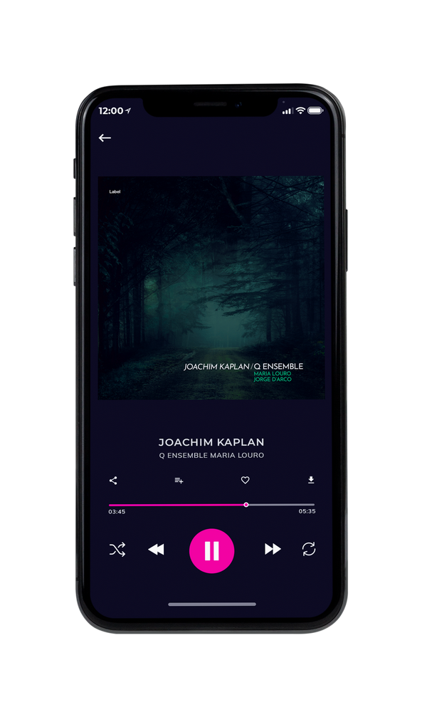 Tablet view of Premade Pop Album Cover - Ebony #4215 | AlbumArtZone*