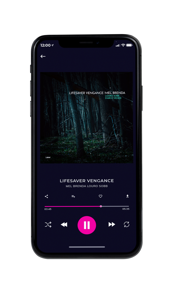 Tablet view of Premade Pop Album Cover - Woodsmoke #4225 | AlbumArtZone*