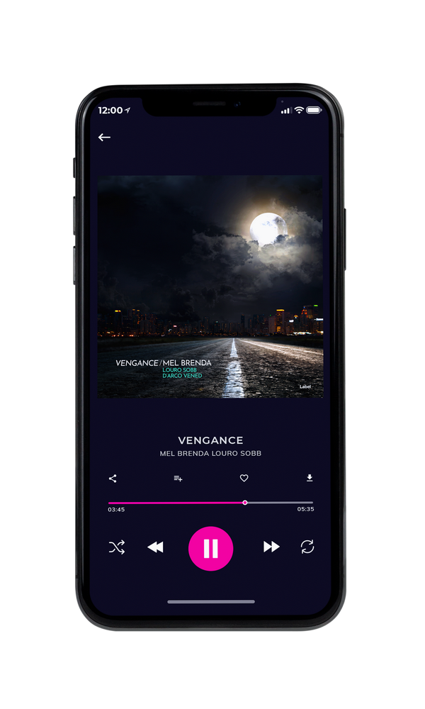 Tablet view of Premade Pop Album Cover - Woodsmoke #4227 | AlbumArtZone*