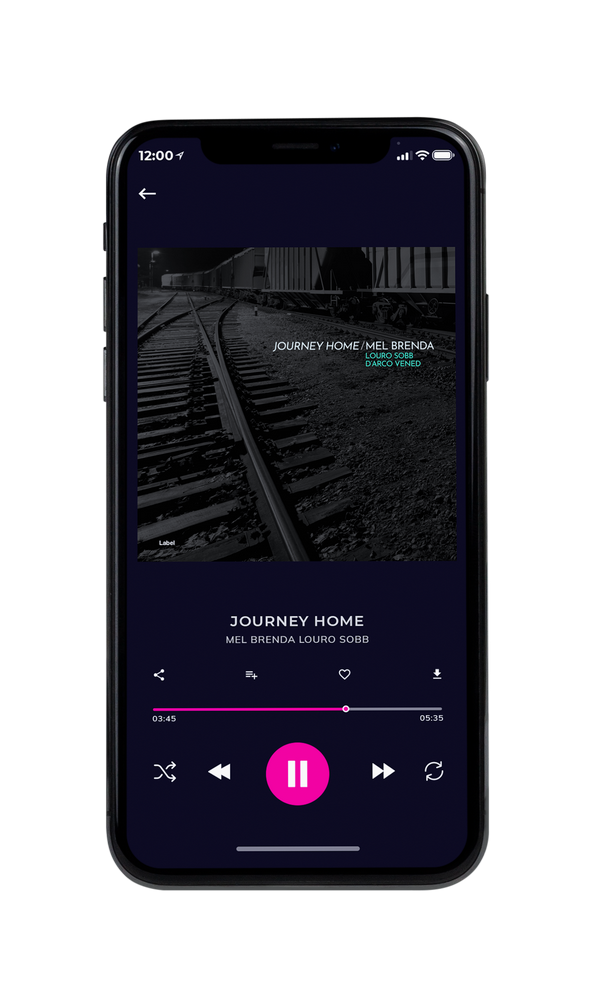Tablet view of Premade Pop Album Cover - Cod Gray #4231 | AlbumArtZone*