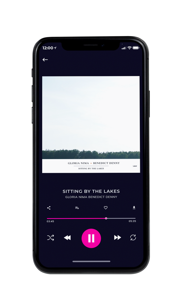 Tablet view of Premade Pop Album Cover - Limed Spruce #4261 | AlbumArtZone*