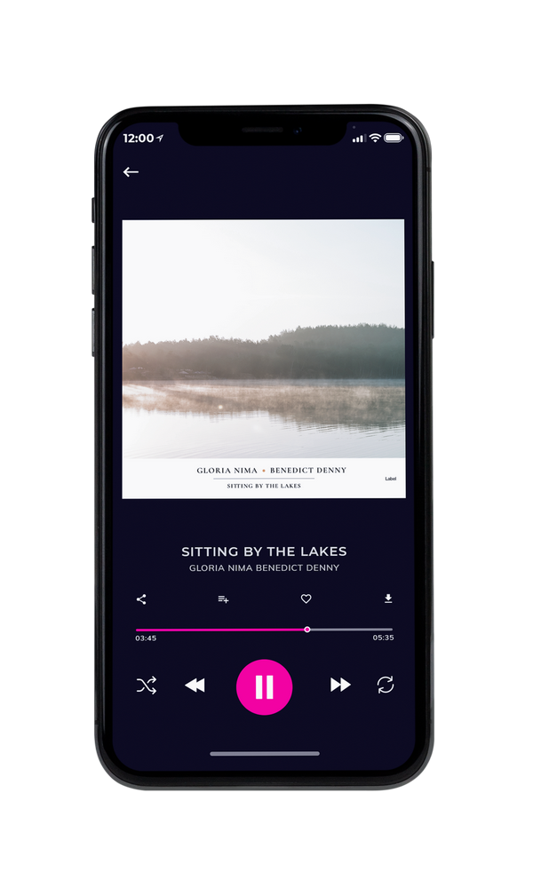 Tablet view of Premade Pop Album Cover - Westar #4264 | AlbumArtZone*