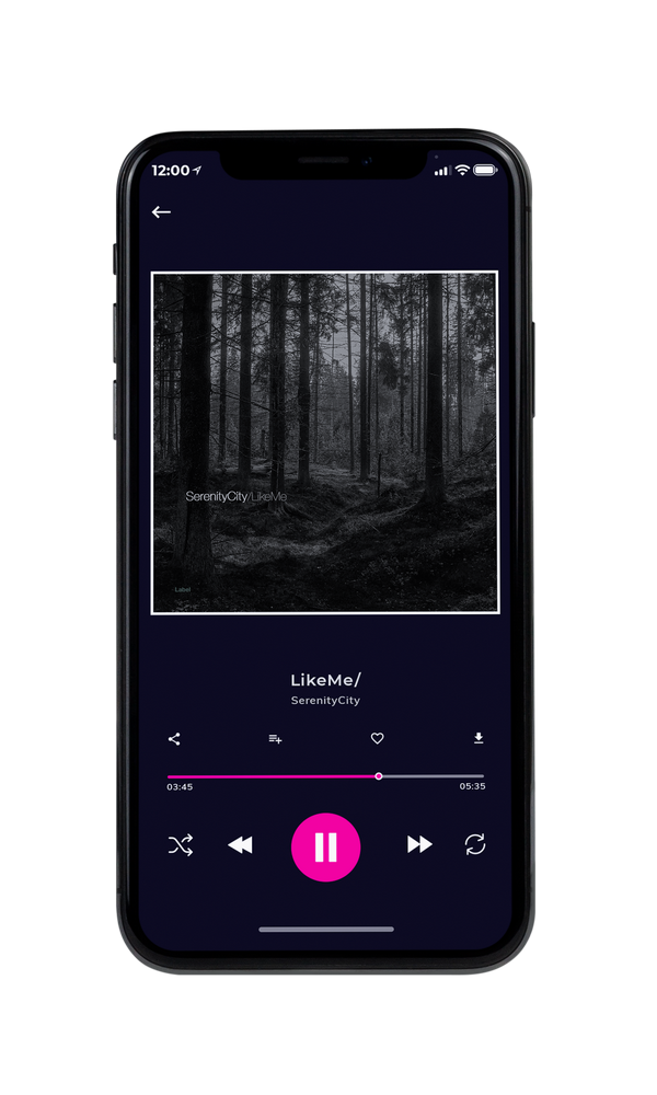 Tablet view of Premade Pop Album Cover - Cod Gray #4343 | AlbumArtZone*