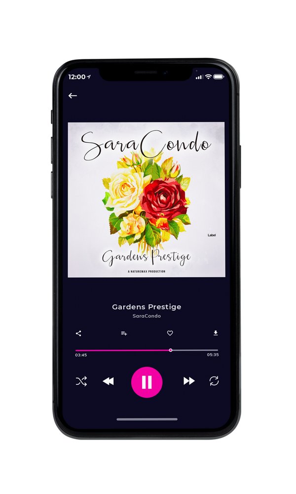 Tablet view of Premade Pop Album Cover - Pampas #5031 | AlbumArtZone*