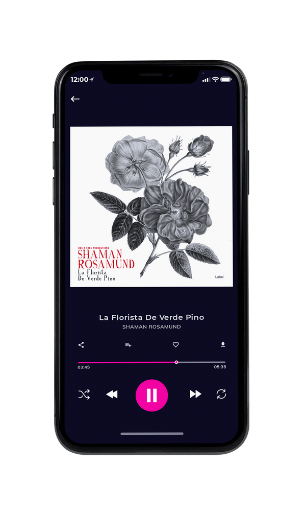 Tablet view of Premade Indie & Folk Music Album Cover - Gray #5044 | AlbumArtZone*