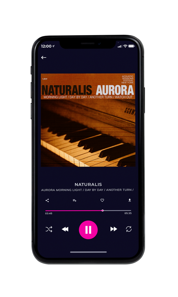 Tablet view of Premade Traditional Jazz & Blues Album Cover - Dark Ebony #5053 | AlbumArtZone*