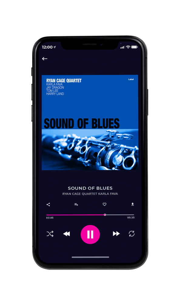 Tablet view of Premade Traditional Jazz & Blues Book Cover - Fun Blue #5068 | AlbumArtZone*