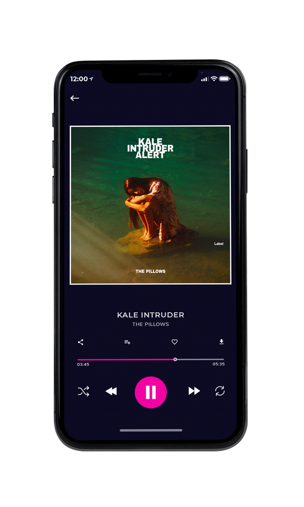 Tablet view of Premade Pop Album Cover - Green Kelp #5110 | AlbumArtZone*
