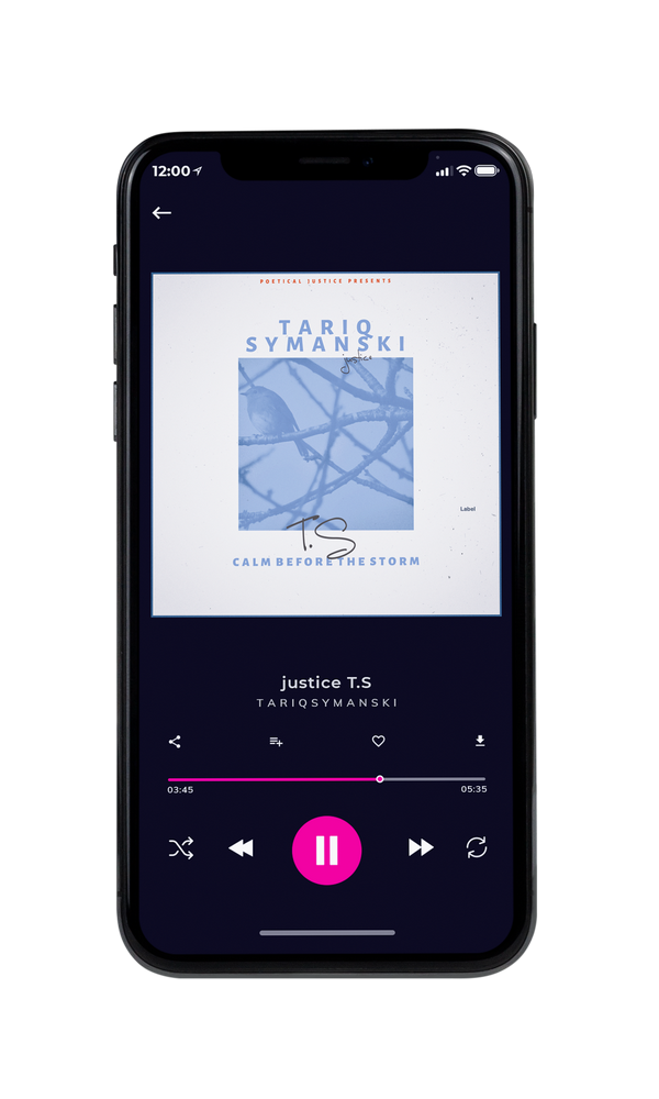 Tablet view of Premade Pop Album Cover - Athens Gray #5185 | AlbumArtZone*