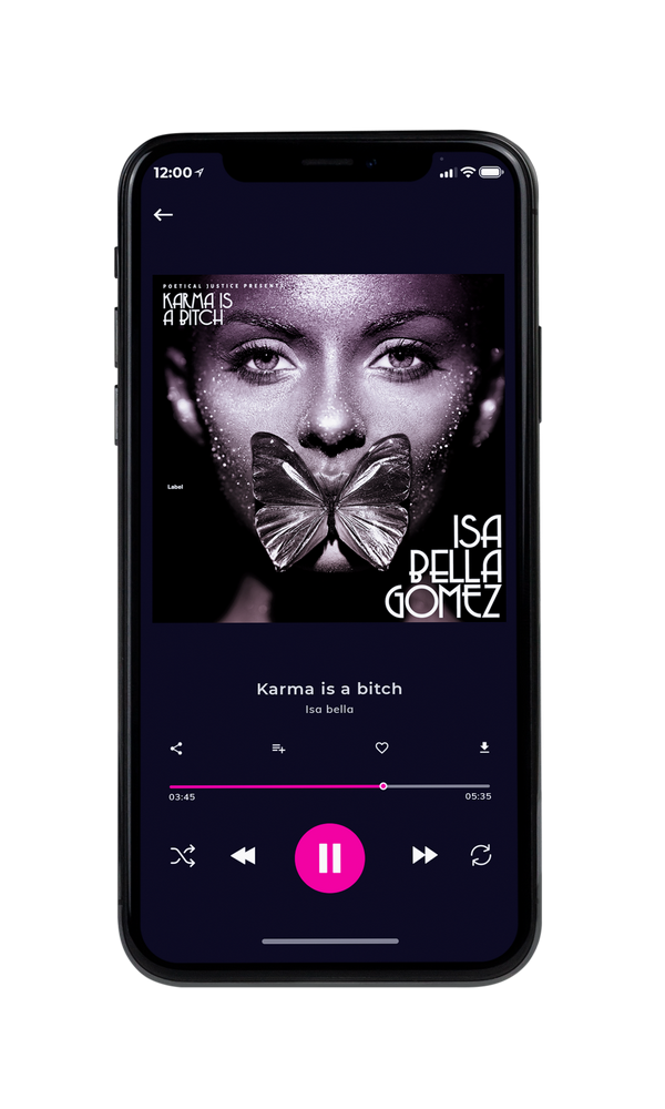 Tablet view of Premade Pop Album Cover - Pale Slate #5190 | AlbumArtZone*