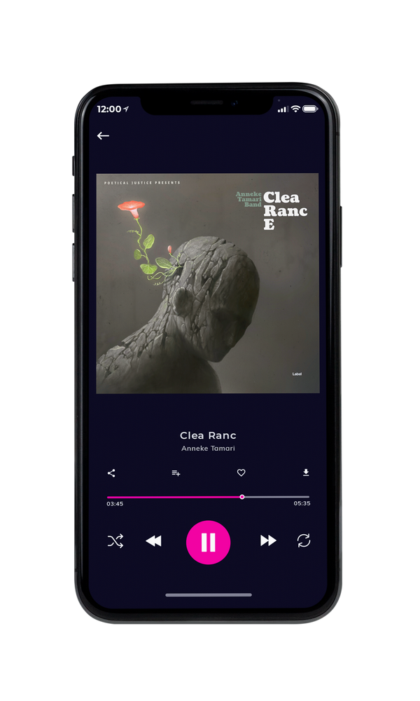 Tablet view of Premade Rock,Punk & Alternative Album Cover - Fuscous Gray #5214 | AlbumArtZone*