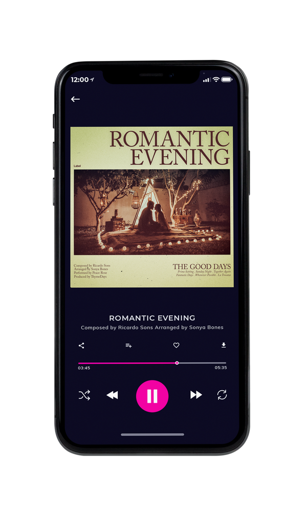Tablet view of Premade Classical & Romantic Music Album Cover - Winter Hazel #5323 | AlbumArtZone*