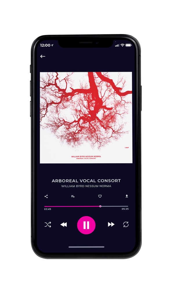 Tablet view of Premade Dance & House Album Cover - Mojo #5343 | AlbumArtZone*
