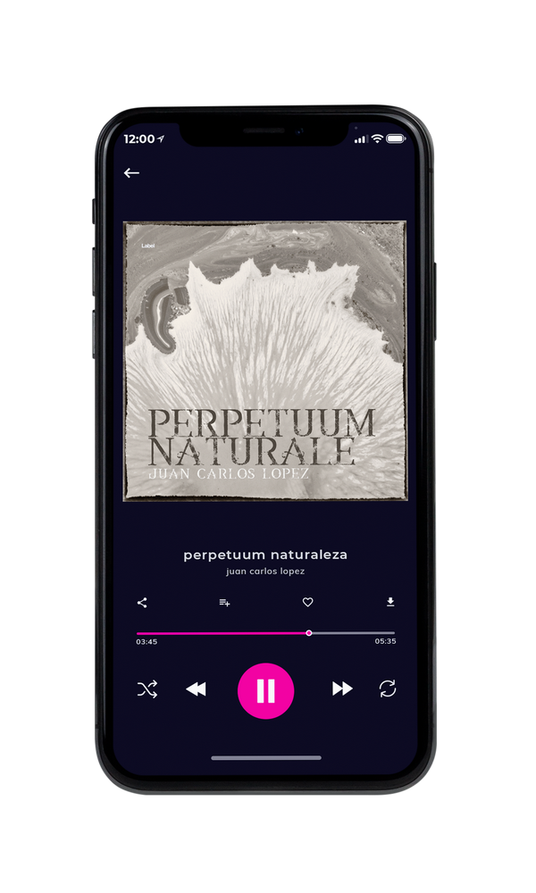 Tablet view of Premade Podcast Album Cover - Foggy Gray #5368 | AlbumArtZone*