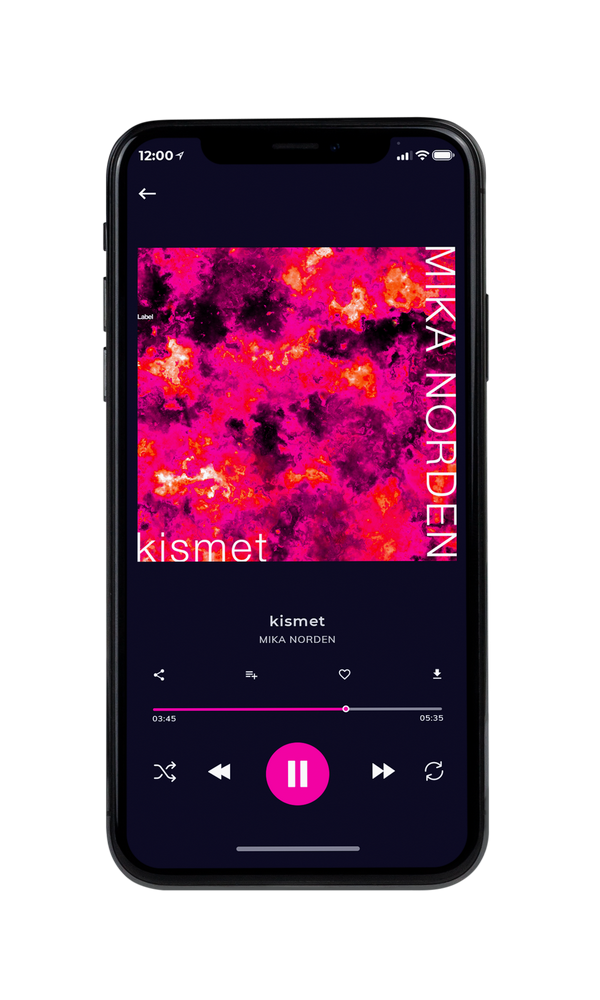 Tablet view of Premade Electronica & Ambient Album Cover - Razzmatazz #5411 | AlbumArtZone*