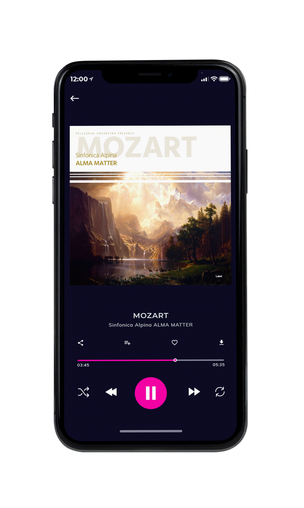 Tablet view of Premade Classical & Romantic Music Album Cover - Sapling #5432 | AlbumArtZone*