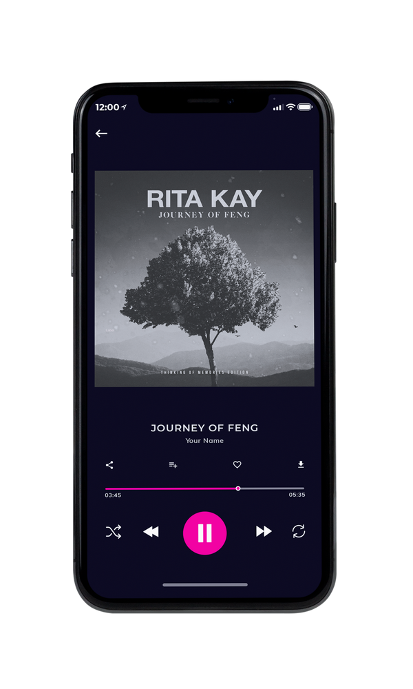 Tablet view of Premade Pop Album Cover - Tundora #5453 | AlbumArtZone*