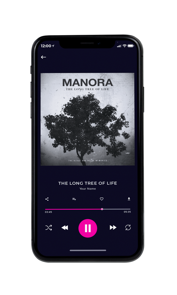 Tablet view of Premade Pop Album Cover - Alto #5457 | AlbumArtZone*